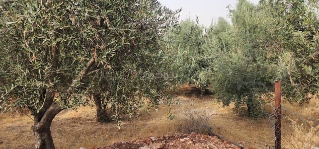 Hotel Apartment for Sale in Al Bunayyat, Amman - 0 Bedroom Commercial Building For Sale Al Bunayyat, Amman