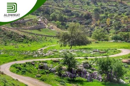 Chalet for Sale in Fuheis, Al Salt - 0 Bedroom + Residential Land + For Sale + Fuheis, Al Salt