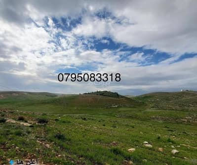 شاليه  للبيع في شفا بدران، عمان - 0 غرفة + أرض سكنية + للبيع + شفا بدران، عمّان