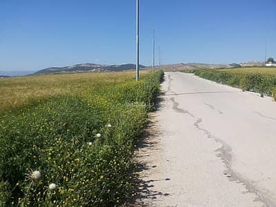 شاليه  للبيع في شفا بدران، عمان - أرض سكنية بـ 0 غرفة نوم للبيع في شفا بدران، عمان