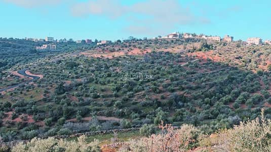 Chalet for Sale in Bader Al Jadidah, Amman - 0 Bedroom + Residential Land + For Sale + Bader Al Jadidah, Amman