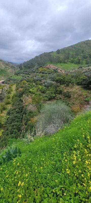 شاليه  للبيع في اشتفينا، عجلون - 0 غرفة + أرض سكنية + للبيع + أشتيفنا، عجلون