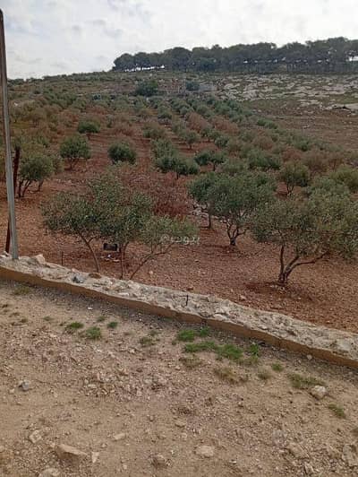 Chalet for Sale in Al Faisaliyah, Madaba - 1 Bed Apartment For Sale Al Faisaliyah, Madaba