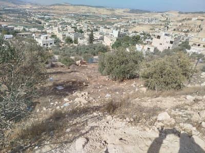 شاليه  للبيع في شارع الاردن، عمان - أرض سكنية للبيع في شارع الأردن، عمان