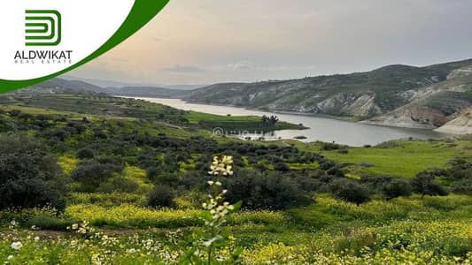 Chalet for Sale in Dead Sea, Al Ghor - 0 Bedroom + Residential Land + For Sale + Dead Sea, Al Ghor