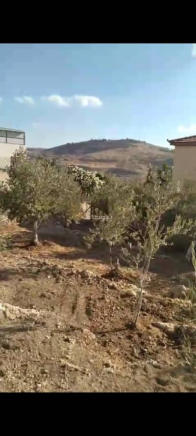 شاليه  للبيع في ناعور، عمان - 0 غرفة أرض سكنية للبيع ناور Amman