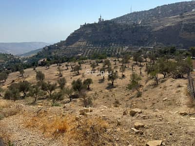 Chalet for Sale in Al Behat, Amman - 0 Bedroom Residential Land for Sale in Al Behat, Amman