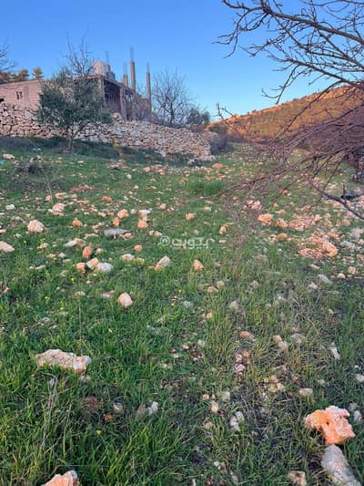 شاليه  للبيع في عنجرة، عجلون - 0 غرفة منزلية أرض سكنية للبيع أنجرة عجلون