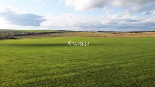 Chalet for Sale in Al Tuneib, Amman - 0 Bedroom Residential Land For Sale Al Tuneib, Amman Chalet for Sale in Al Tuneib, Amman - 0 Bedroom Residential Land For Sale Al Tuneib, Amman