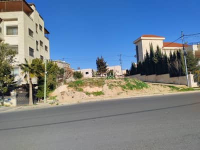 شاليه  للبيع في ربوة عبدون، عمان - أرض سكنية للبيع في ربوعة عبدون، عمان بمساحة 385 متر مربع