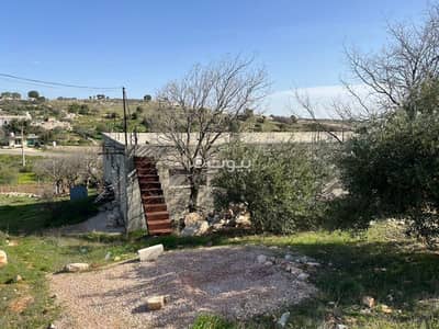 شاليه للبيع في صخره، عجلون - 0 غرفة أرض سكنية للبيع سخره، عجلون شاليه للبيع في صخره، عجلون - 0 غرفة أرض سكنية للبيع سخره، عجلون