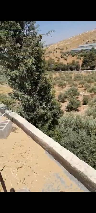 Chalet for Sale in Dhiban, Madaba - 1 Bedroom Residential Land For Sale Dhiban, Madaba