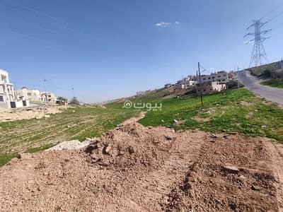 Chalet for Sale in Tabarbour, Amman - 1 Bedroom Residential Land For Sale Tabarbour