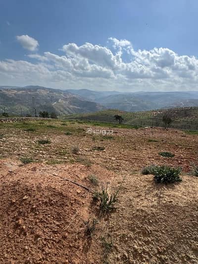 Chalet for Sale in Burma, Jerash - Residential Land For Sale in Burma, Jerash Chalet for Sale in Burma, Jerash - Residential Land For Sale in Burma, Jerash