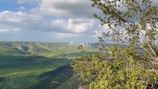 Chalet for Sale in Saham, Irbid - Residential Land For Sale in Saham, Irbid