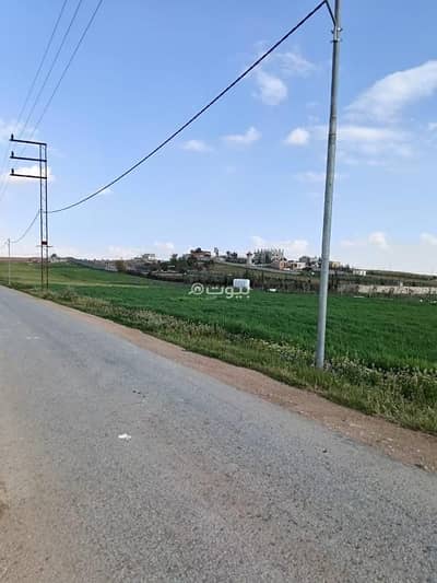 شاليه  للبيع في بلعما، المفرق - أرض سكنية 0 غرفة نوم للبيع في بلعما، المفرق