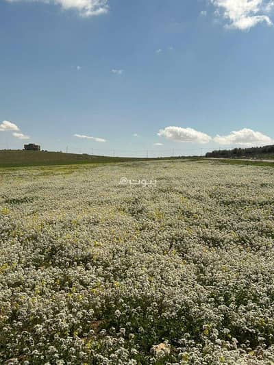 شاليه  للبيع في حوارة، مادبا - أرض سكنية للبيع في هاوراه، مادبا