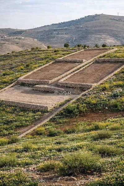 Chalet for Sale in Birayn, Zarqa - 0 Bedrooms Residential Land For Sale in Birayn, Zarqa