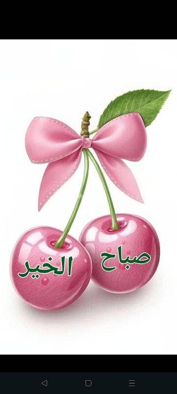 فلیٹ 2 غرفة نوم للايجار في ضاحية الياسمين، عمان - شقة بغرفتي نوم للإيجار في الياسمين، عمان