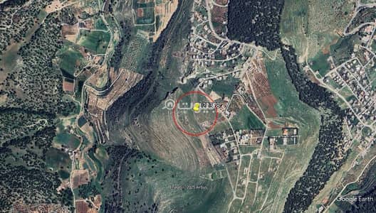 Chalet for Sale in Al Sarou, Al Salt - Residential Land for Sale in Al Sarou, Al Salt