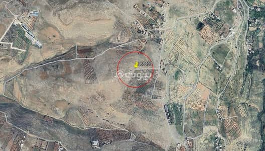 شاليه  للبيع في عراق الأمير، عمان - أرض سكنية بدون غرف للبيع في العراق الأمير، عمان