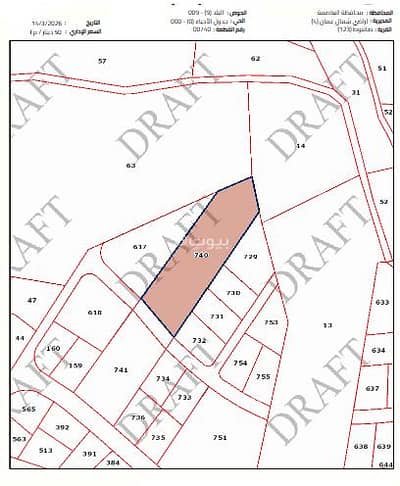 شاليه  للبيع في صافوط، السلط - أرض سكنية 0 غرفة للبيع في صرود, السلط