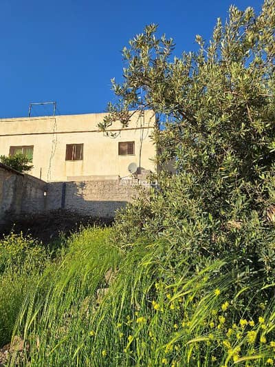 Hotel Apartment for Sale in Beit Ras, Irbid - 0 Bedroom Commercial Building For Sale in Beit Ras, Irbid