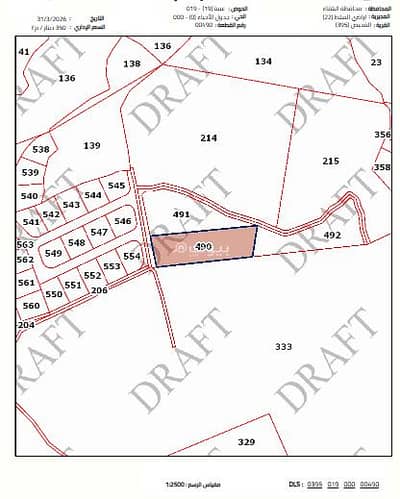 شاليه  للبيع في بدر الجديدة، عمان - أرض سكنية 0 غرف للبيع بادر الجديد - عمان