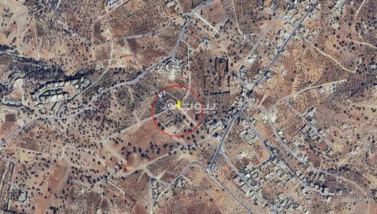 شاليه  للبيع في بدر الجديدة، عمان - أرض سكنية للبيع في بدر الجديدة، عمان