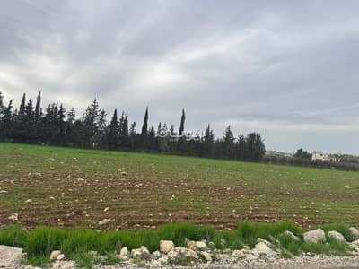 شاليه  للبيع في ناعور، عمان - أرض سكنية للبيع في ناعور، عمان