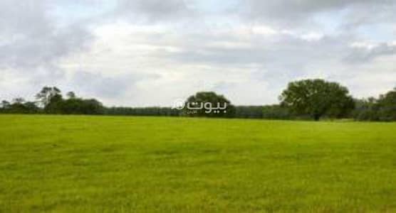 شاليه  للبيع في نبي هود، جرش - 0 غرف أرض سكنية للبيع في نبي هود، جرش