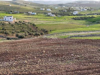 Chalet for Sale in Balama, Mafraq - 0 Bedrooms Residential Land For Sale Balama, Mafraq