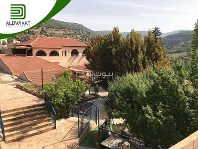 Office for Sale in Ras Munif, Ajloun - 0 Bedroom Other Commercial For Sale in Ras Munif, Ajloun