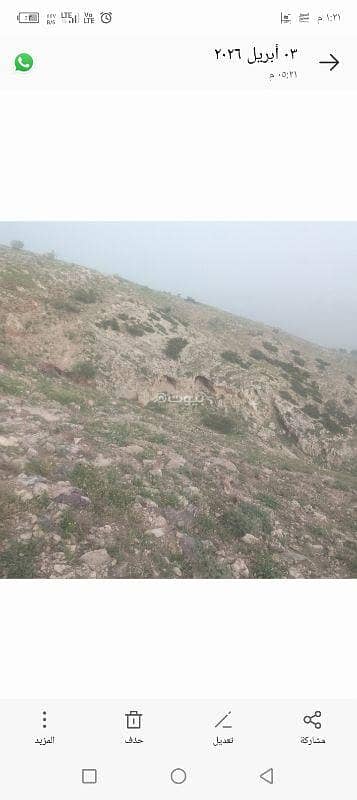 شاليه للبيع في يرقا، السلط - 0 غرفة أرض سكنية للبيع في يرقا، السلط شاليه للبيع في يرقا، السلط - 0 غرفة أرض سكنية للبيع في يرقا، السلط