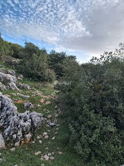 Chalet for Sale in Ain Janna, Ajloun - 1 Bedroom Residential Land For Sale Ain Janna, Ajloun