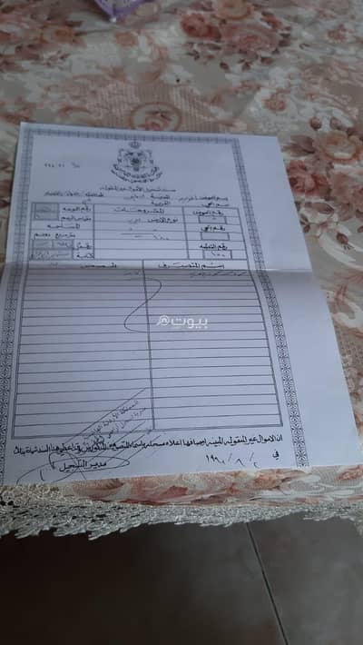 شاليه  للبيع في بلعما، المفرق - أرض سكنية للبيع في بلدة البلما، المفرق