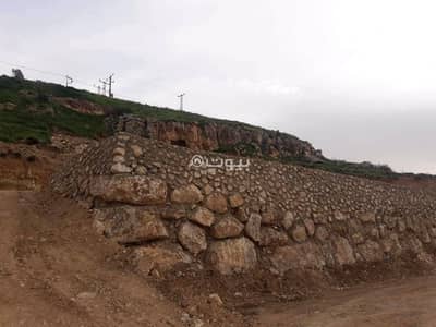 Chalet for Sale in Hisban, Amman - Residential Land For Sale in Hisban, Amman