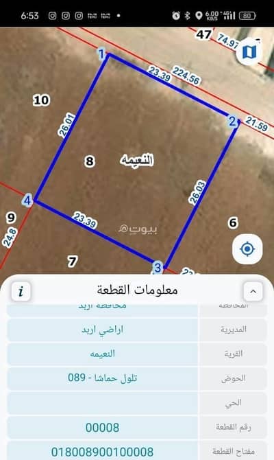 شاليه  للبيع في النعيمة، الكرك - أرض سكنية للبيع في نوييمه، الكرك