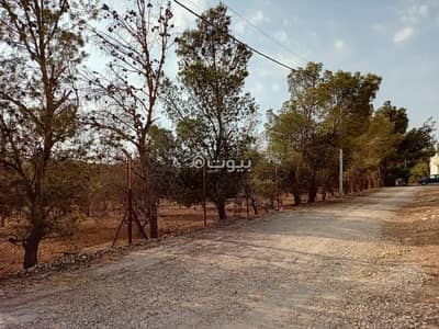 Chalet for Sale in Al Jizah, Amman - 0 Bedrooms Residential Land For Sale Al Jizah, Amman Chalet for Sale in Al Jizah, Amman - 0 Bedrooms Residential Land For Sale Al Jizah, Amman