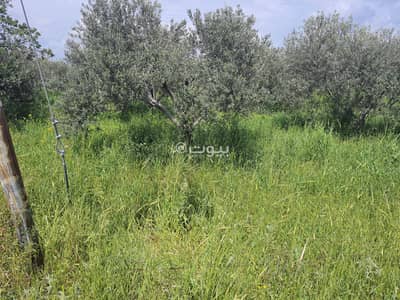 شاليه  للبيع في سحم، إربد - أرض سكنية للبيع في صحم، إربد