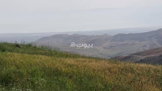Chalet for Sale in Belal, Amman - Residential Lands For Sale in Belal, Amman Chalet for Sale in Belal, Amman - Residential Lands For Sale in Belal, Amman