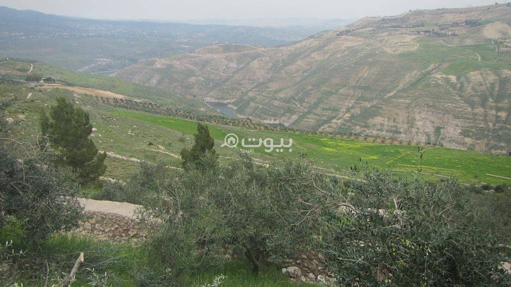 أراضي سكنية 0 غرف للبيع في جلعاد، السلط أراضي سكنية 0 غرف للبيع في جلعاد، السلط