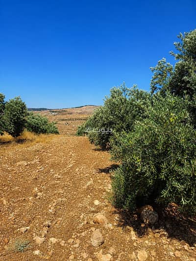 Chalet for Sale in Nebi Hud, Jerash - 1 Residential Land For Sale Nebi Hud, Jerash