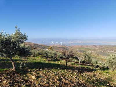 شاليه  للبيع في يرقا، السلط - أراضي سكنية للبيع في يرقا، السلط