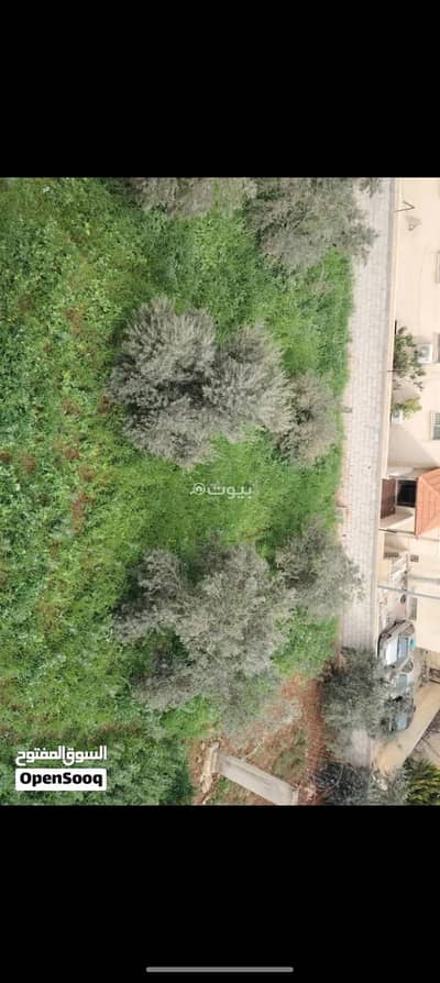 شاليه  للبيع في البارحة، إربد - 0 غرف أراضي سكنية للبيع البطيحة، إربد