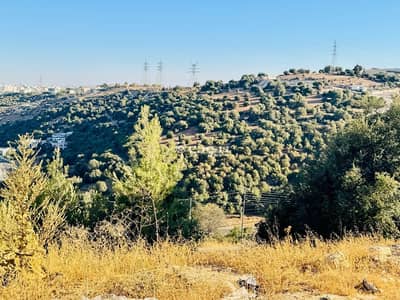 شاليه  للبيع في دابوق، عمان - أراضي سكنية للبيع في دابوق، عمان