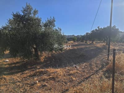 Chalet for Sale in Rihab, Mafraq - 0 Bedrooms Residential Lands For Sale in Rihab, Mafraq
