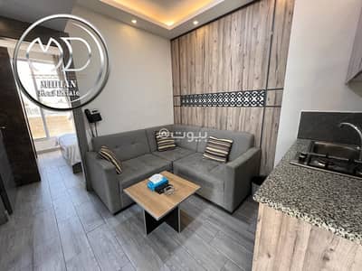 2 Bedroom Apartment for Rent in Jabal Amman, Amman - 2 Bedrooms Apartment For Rent Jabal Amman