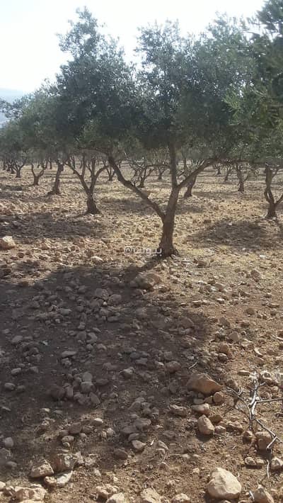 Chalet for Sale in Al Rumman, Al Salt - Residential Lands For Sale in Al Rumman, Al Salt