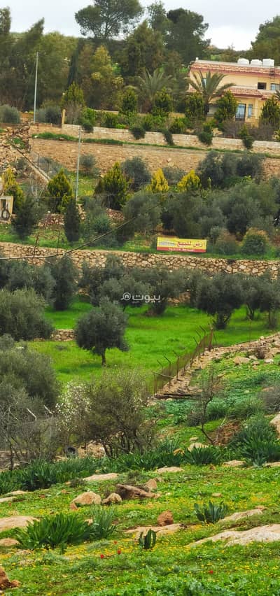 Chalet for Sale in Al Kitta, Jerash - Residential Lands For Sale in Al Kitta, Jerash Chalet for Sale in Al Kitta, Jerash - Residential Lands For Sale in Al Kitta, Jerash